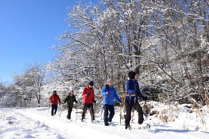 Snowshoe Hike Tour from Sapporo - What to Expect from the Snowshoe Hike Tour from Sapporo