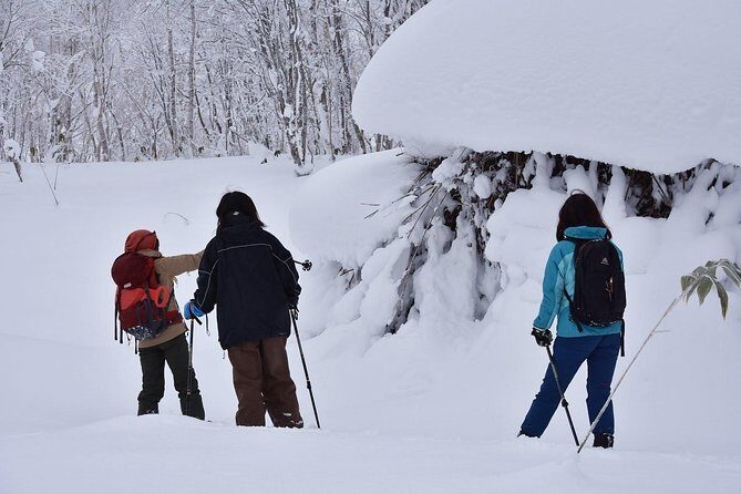 Snowshoe Hike Tour from Sapporo - FAQs