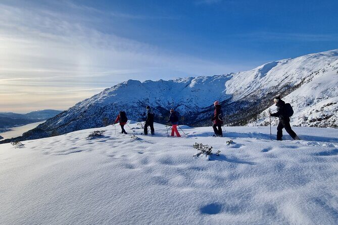 Snowshoe hiking Bergen Public - Norway Mountain Guides - Snowshoe Hiking Bergen Public - Norway Mountain Guides