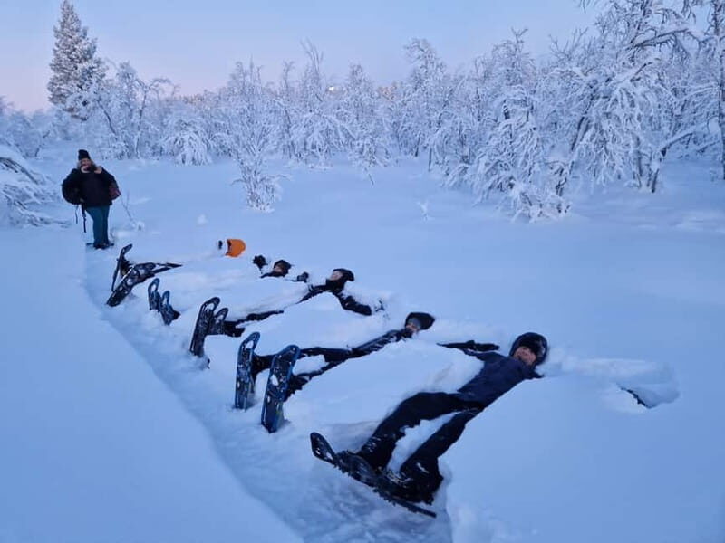 Snowshoe in a Winter Forest - Snowshoe in a Winter Forest: A Genuine Arctic Escape in Norrbotten