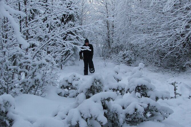 Snowshoe in a Winter Forest - The Value of This Experience