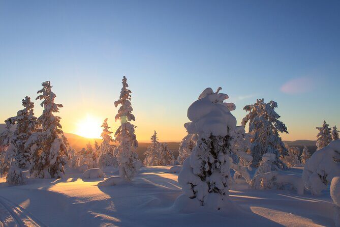 Snowshoe in a Winter Forest - Why This Tour Is a Great Choice