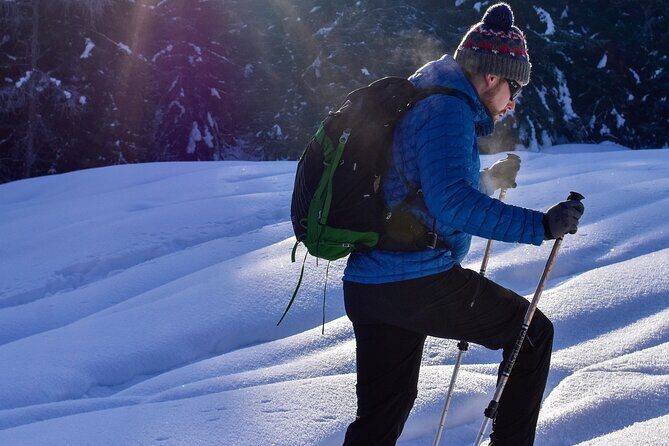 Snowshoe Rentals in South Lake Tahoe - FAQ: Your Snowshoeing Questions Answered