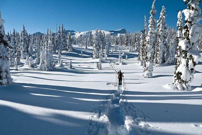 Snowshoe Through Vancouver's Winter Wonderland - Key Points