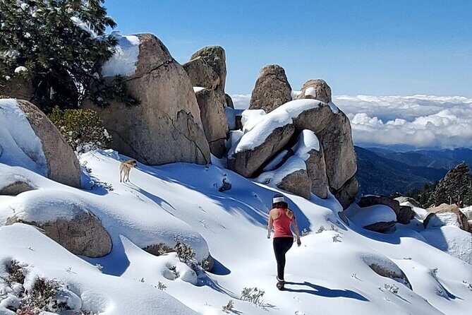 Snowshoe Tour Big Bear Lake with Hot Chocolate - Who Will Love This Tour?