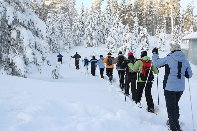 Snowshoe Tour in the Lake Tahoe Mountains - Exploring the Lake Tahoe Snowshoe Experience
