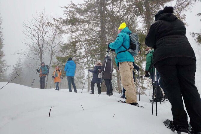 Snowshoe tour in Winter Wonderland - Oslo - Who Should Book This Tour?