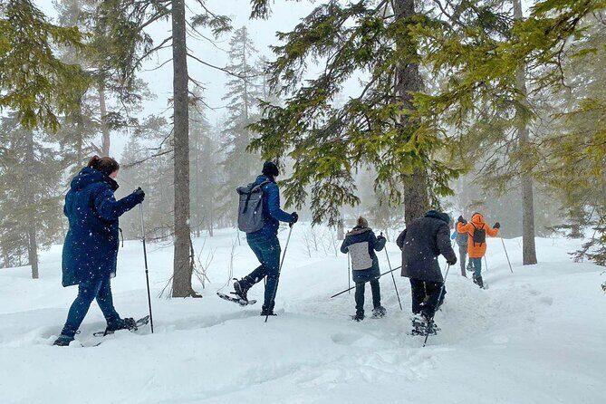 Snowshoe tour in Winter Wonderland - Oslo - FAQs