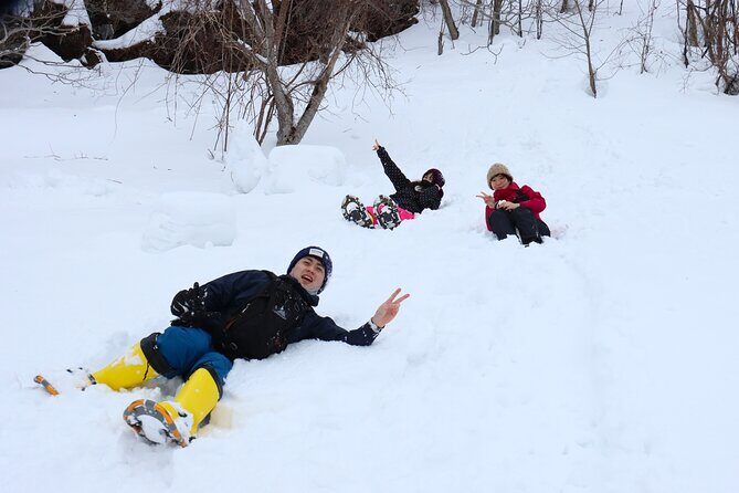 Snowshoe tours in Niseko Explore beautiful snowscapes adventure - Key Points