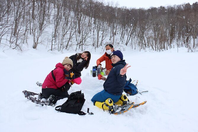 Snowshoe tours in Niseko Explore beautiful snowscapes adventure - Who Should Consider This Tour?