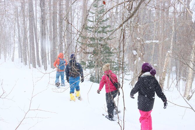Snowshoe tours in Niseko Explore beautiful snowscapes adventure - Final Thoughts: A Genuine Winter Escape
