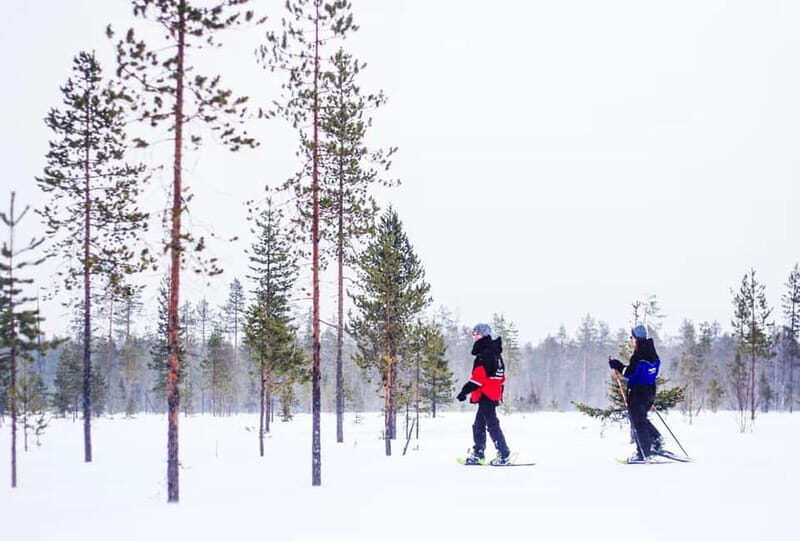 Snowshoe Trip for Ice Fishing in Saariselka - The Sum Up: Is This Tour Worth Your Time?