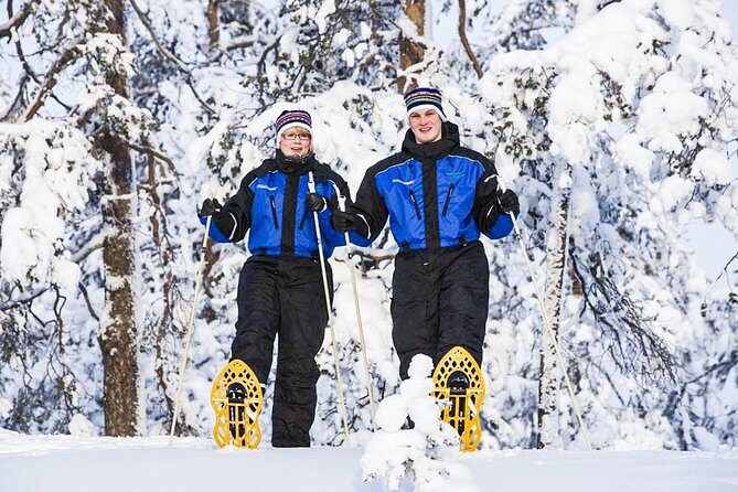 Snowshoe Trip for Searching Arctic Animals - Key Points