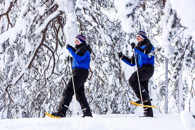 Snowshoe Trip for Searching Arctic Animals - Final Thoughts on the Arctic Snowshoe Tour