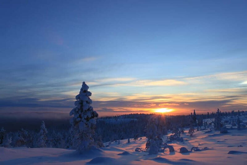 Snowshoe up a Mountain - Snowshoe Up a Mountain: An Authentic Arctic Winter Experience in Kiruna