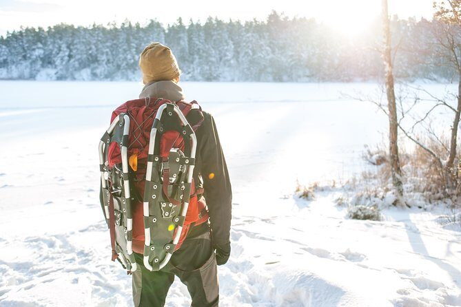 Snowshoe Winter Hike from Stockholm - Key Points