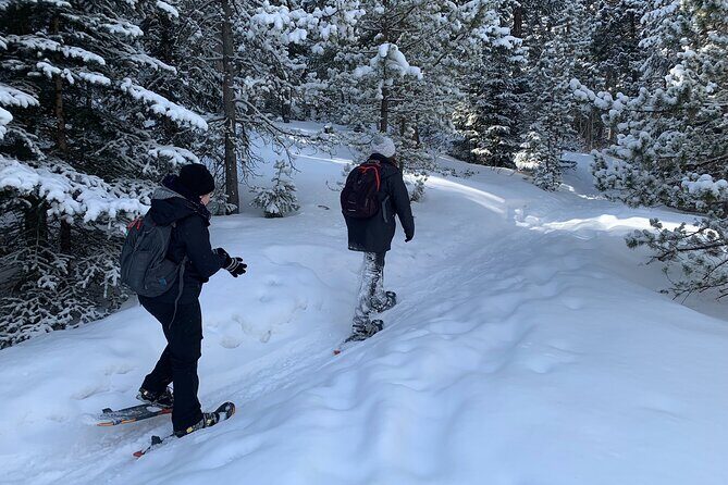 Snowshoeing Adventure in the Rocky Mountains Close to Denver - Exploring the Snowshoeing Experience in Depth