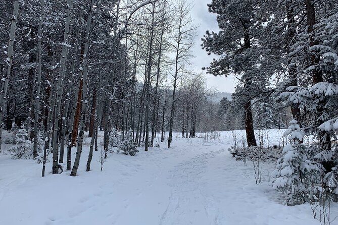 Snowshoeing Adventure in the Rocky Mountains Close to Denver - Frequently Asked Questions