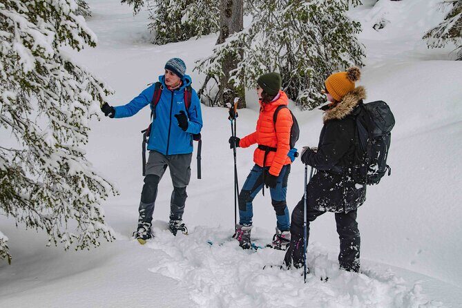 Snowshoeing Adventure with Ice-Fishing, Fire and Survival - Final Thoughts: A Genuine Arctic Experience