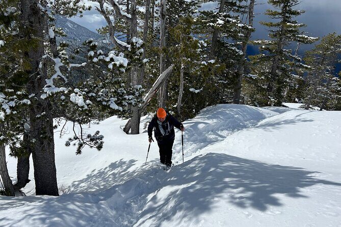Snowshoeing at The Top of The Sea to Sky Gondola - Key Points