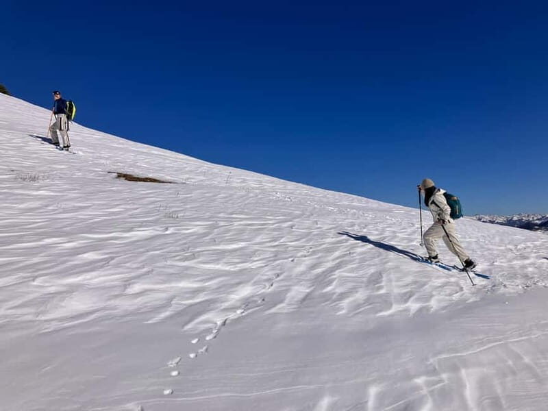 Snowshoeing in Bakuriani, Caucasus Mountains - Key Points