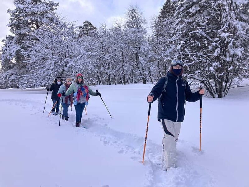 Snowshoeing in Bakuriani, Caucasus Mountains - Itinerary Breakdown: What You Can Expect