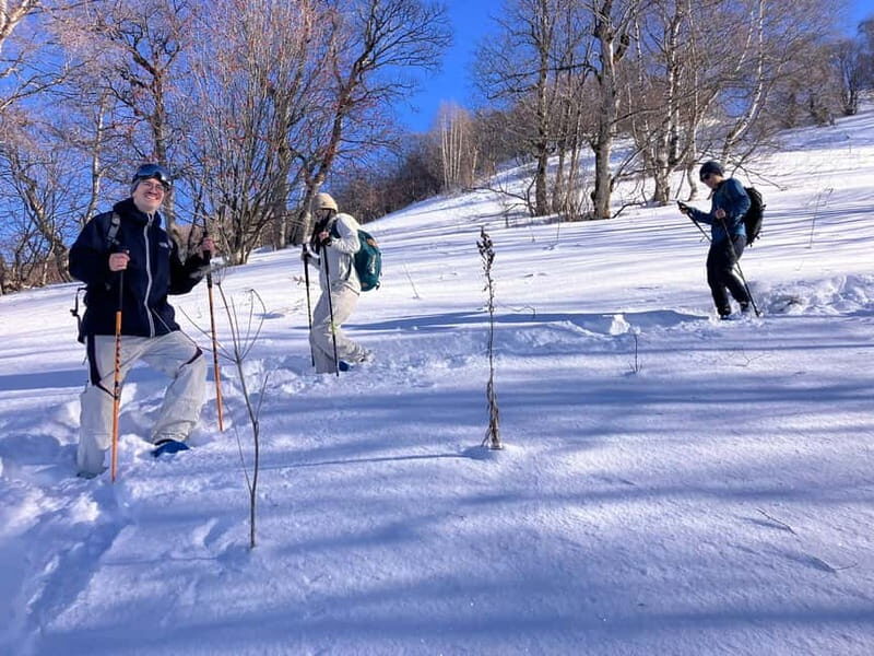 Snowshoeing in Bakuriani, Caucasus Mountains - FAQ