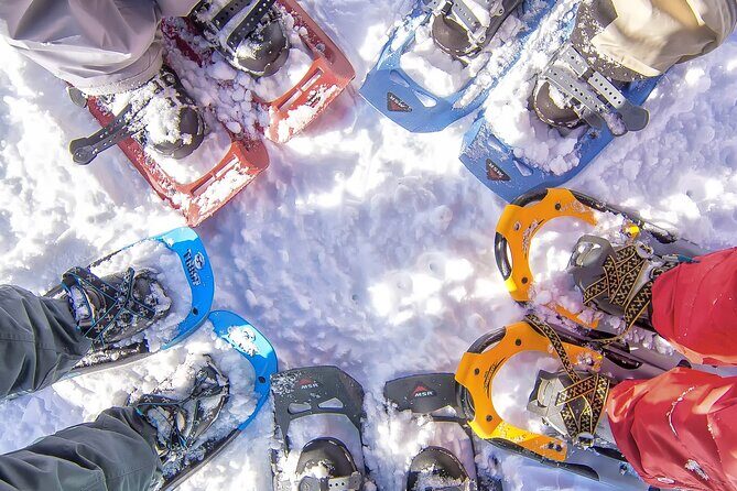Snowshoeing in Chamonix, with a private guide - Exploring Snowshoeing in Chamonix with a Private Guide: A Detailed Review