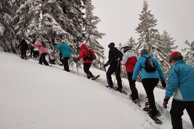 Snowshoeing in Chamonix, with a private guide - Key Points