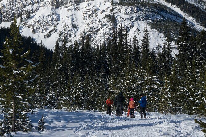 Snowshoeing in Kananaskis - The Sum Up: Who Should Sign Up?
