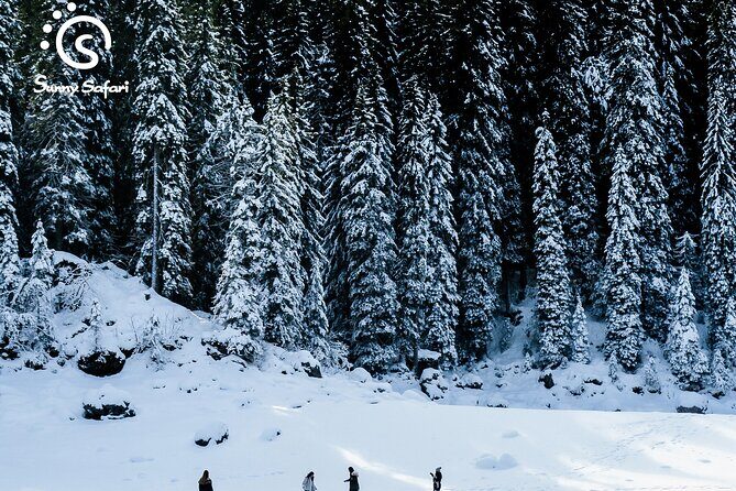 Snowshoeing in Lapland Wilderness - The Sum Up: A Quiet, Authentic Arctic Adventure