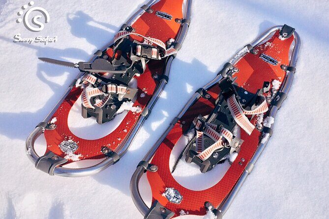 Snowshoeing in Lapland Wilderness - FAQ