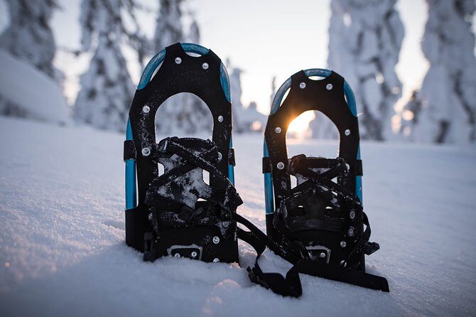 Snowshoeing in the Arctic Circle Wilderness - Key Points