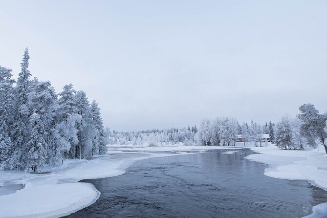 Snowshoeing in the Arctic Circle Wilderness - Detailed Breakdown of the Tour Experience
