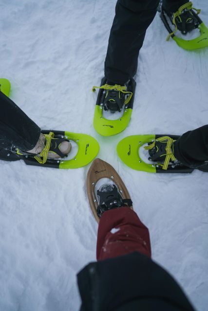 Snowshoeing in the Frozen Forest - Who Should Consider This Tour?