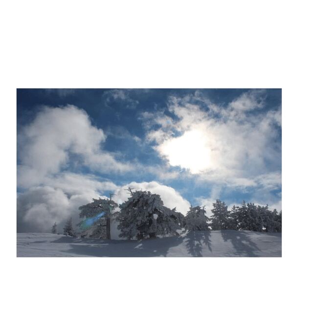 Snowshoeing in the Pollino National Park - A Detailed Look at Snowshoeing in Pollino National Park