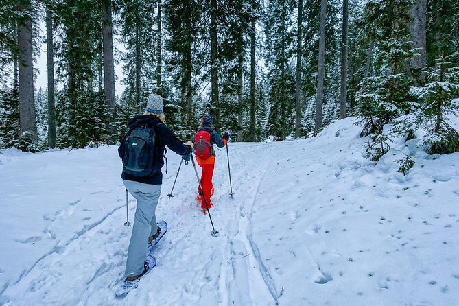 Snowshoeing in Triglav national park - Snowshoeing in Triglav National Park: A Winter Wonderland Adventure