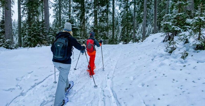 Snowshoeing in Triglav National Park - A Deep Dive into the Snowshoeing Experience in Triglav National Park