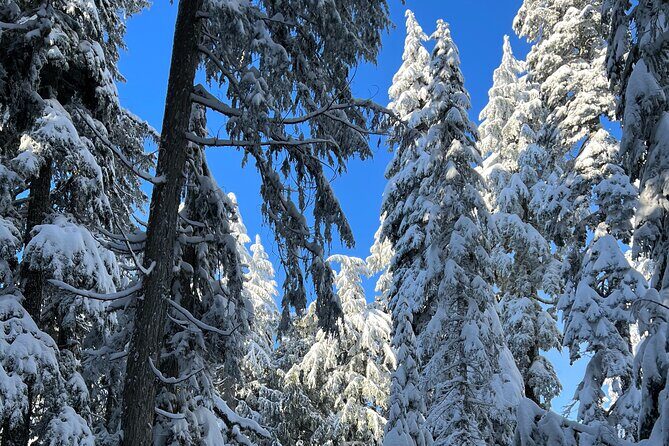 Snowshoeing In Vancouver's Winter Wonderland - Final Thoughts: Is This Tour Right for You?