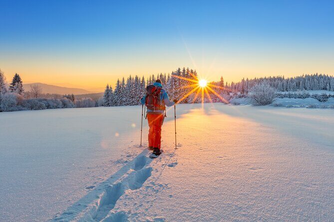 Snowshoeing In Vancouver's Winter Wonderland - Final Words