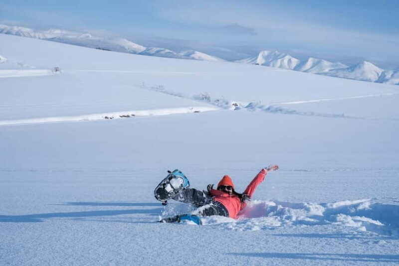 Snowshoeing on a Sparkling Biei Hill & Winter Cafe Time - Snowshoeing on a Sparkling Biei Hill & Winter Cafe Time: A Detailed Review