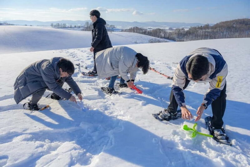 Snowshoeing on a Sparkling Biei Hill & Winter Cafe Time - Key Points
