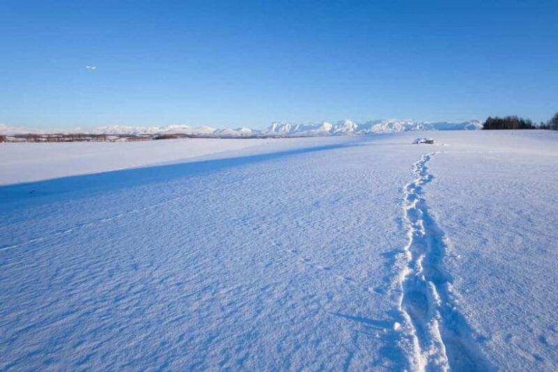 Snowshoeing on a Sparkling Biei Hill & Winter Cafe Time - Why This Tour Is Worth Considering