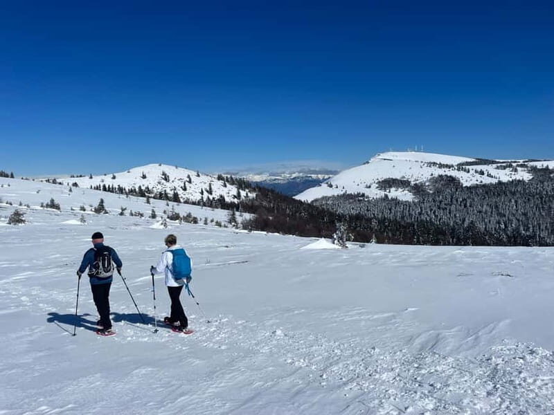 Snowshoeing on the Lure mountain - Snowshoeing on the Lure Mountain: A Winter Wilderness Escape in the South of France