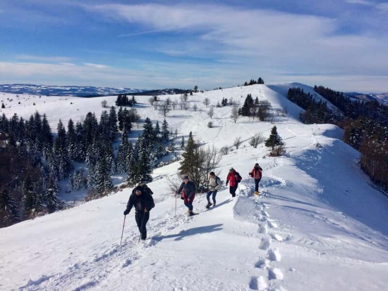 Snowshoeing on the Lure mountain - Who Should Consider This Tour?