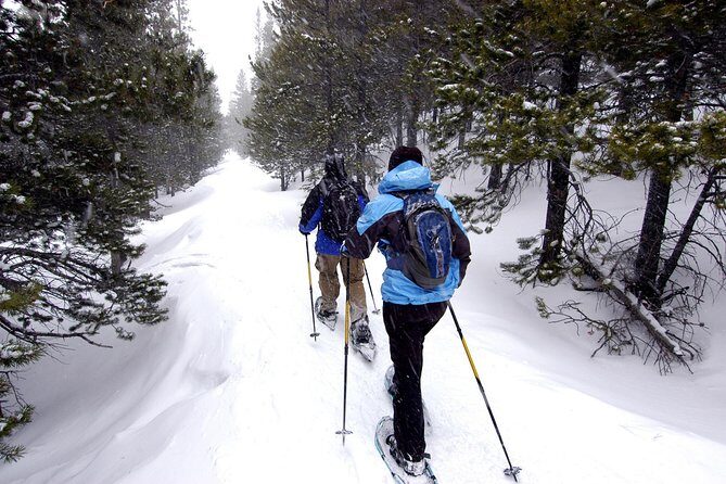 Snowshoeing Tour in Jacques-Cartier National Park - What Makes This Tour Stand Out?