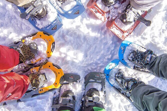 Snowshoeing tour with Wild Lunch - Discover the Arctic Wilderness with a Snowshoeing Tour and Wild Lunch in Rovaniemi