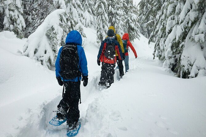 Snowshoeing tour with Wild Lunch - Key Points