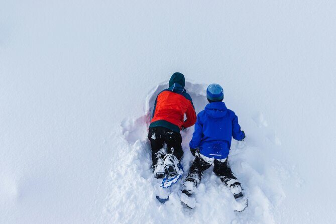 Snowshoeing tour with Wild Lunch - The Sum Up