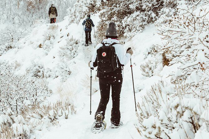 Snowshoeing tour with Wild Lunch - FAQ